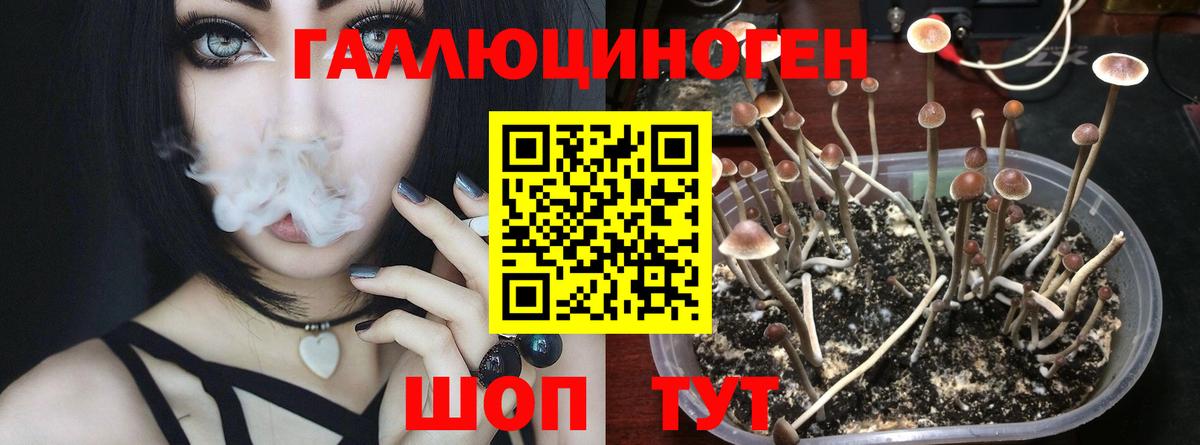 Галлюциногенные грибы мицелий Тольятти