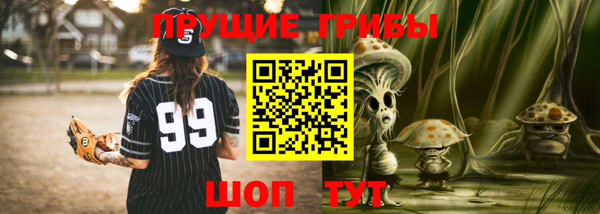 Тольятти  Псилоцибиновые грибы мухоморы  Вход с VPN  Псилоцибиновые грибы MAGIC MUSHROOMS 